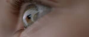 Close-up of a Blue-eyed Person's Eye with Visible Lashes and Iris Detail.